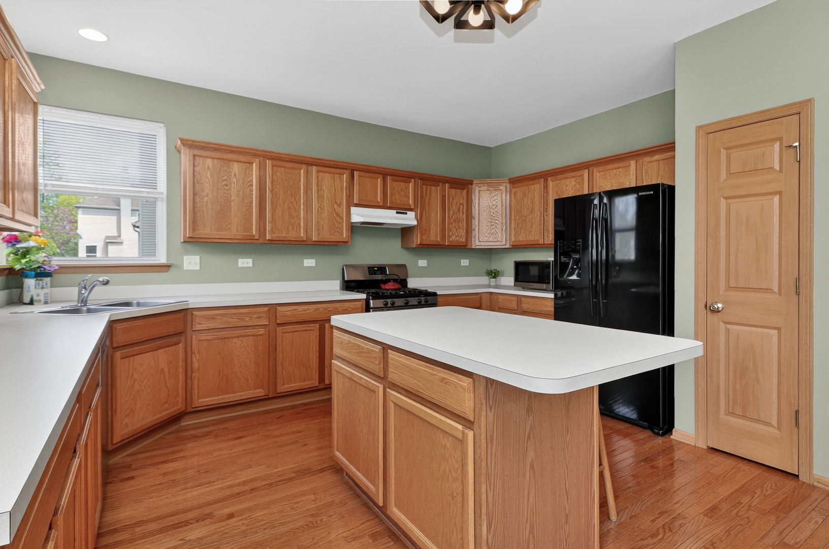 259 Pleasant Plains Drive, St. Charles, IL 60175