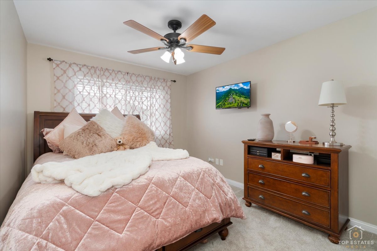 Tinley Park, IL 60487