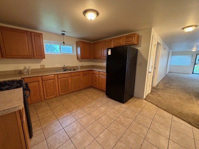 1402 Berkeley Avenue, Ford Heights, IL 60411