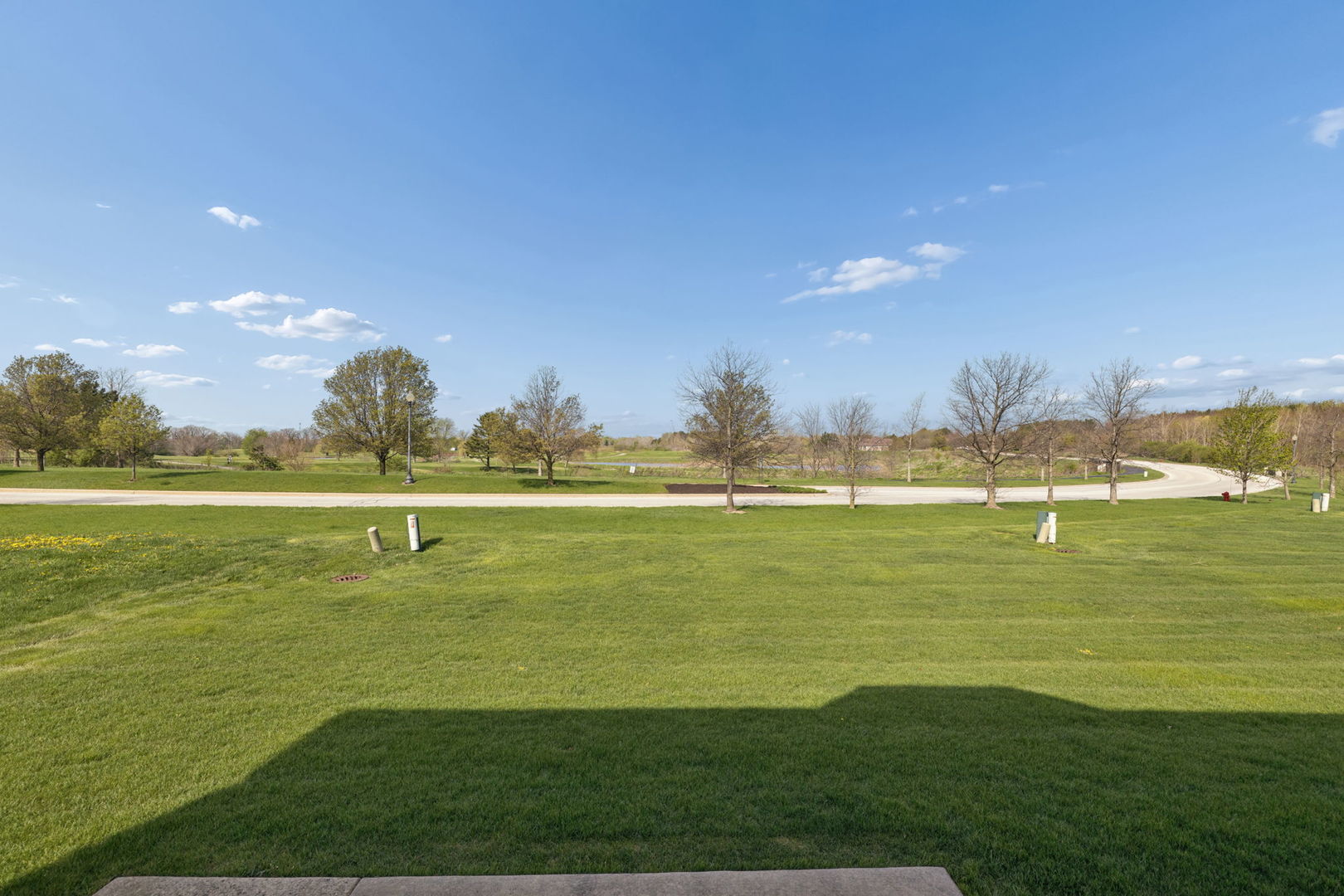 30098 Autumn Drive #1, Beecher, IL 60401