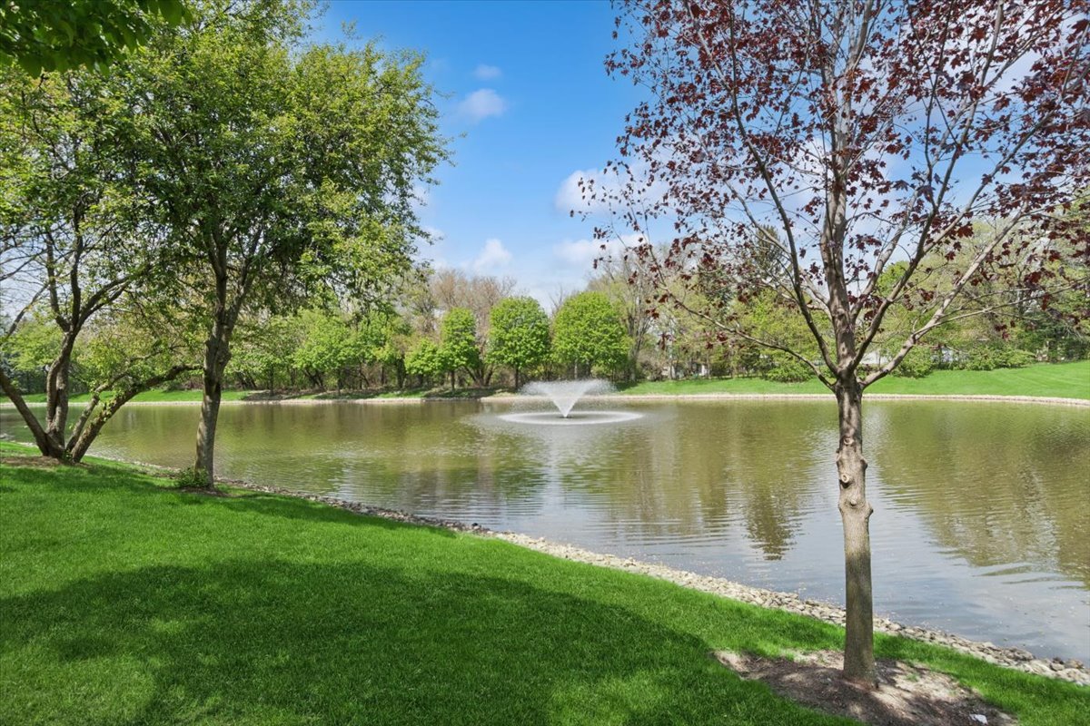 1705 Pontarelli Court, Aurora, IL 60504