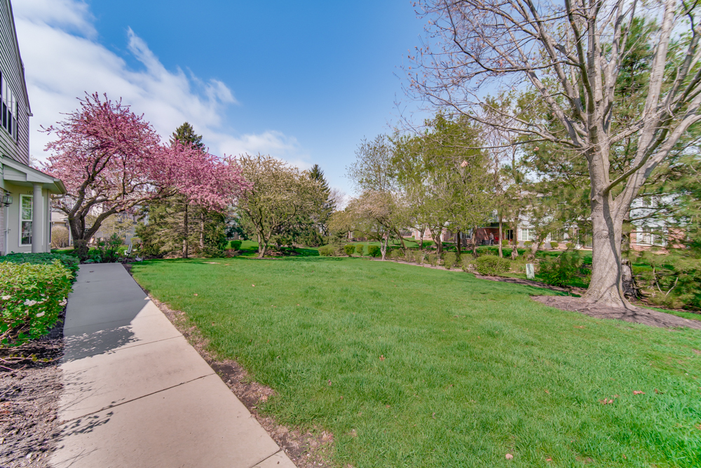 1650 Grove Avenue #A, Schaumburg, IL 60193