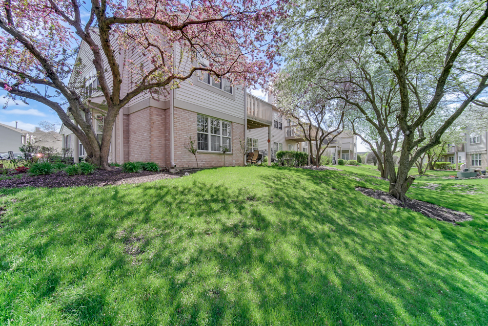1650 Grove Avenue #A, Schaumburg, IL 60193