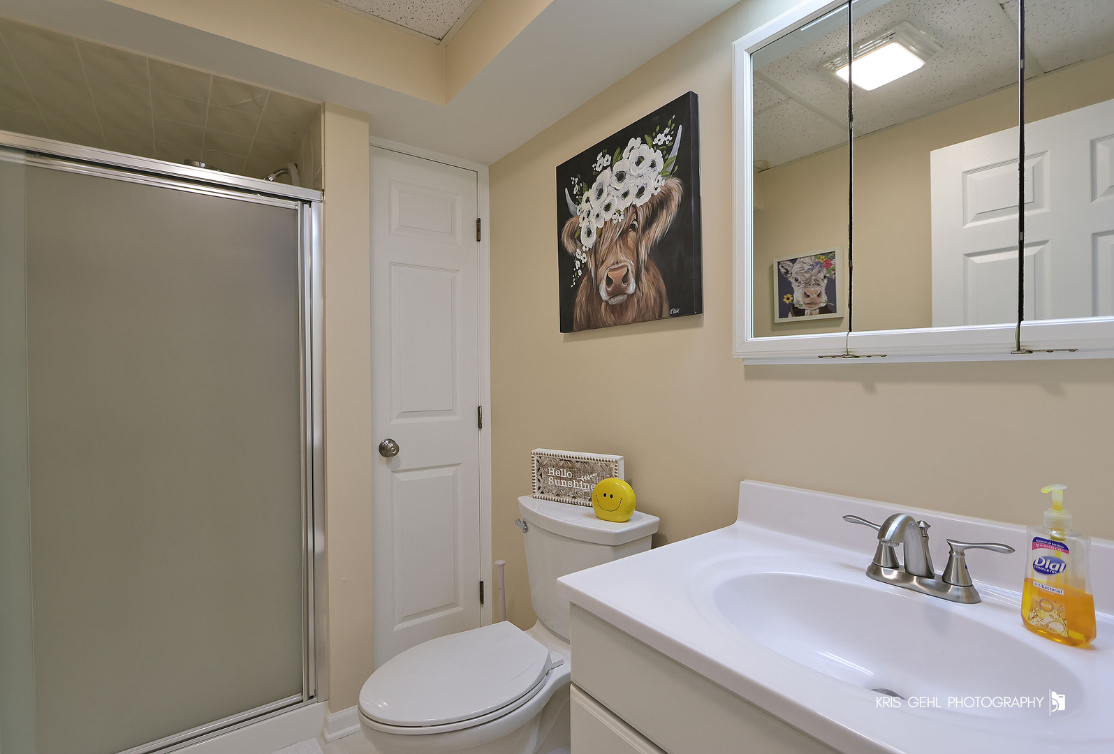 9209 Anthony Lane, Spring Grove, IL 60081