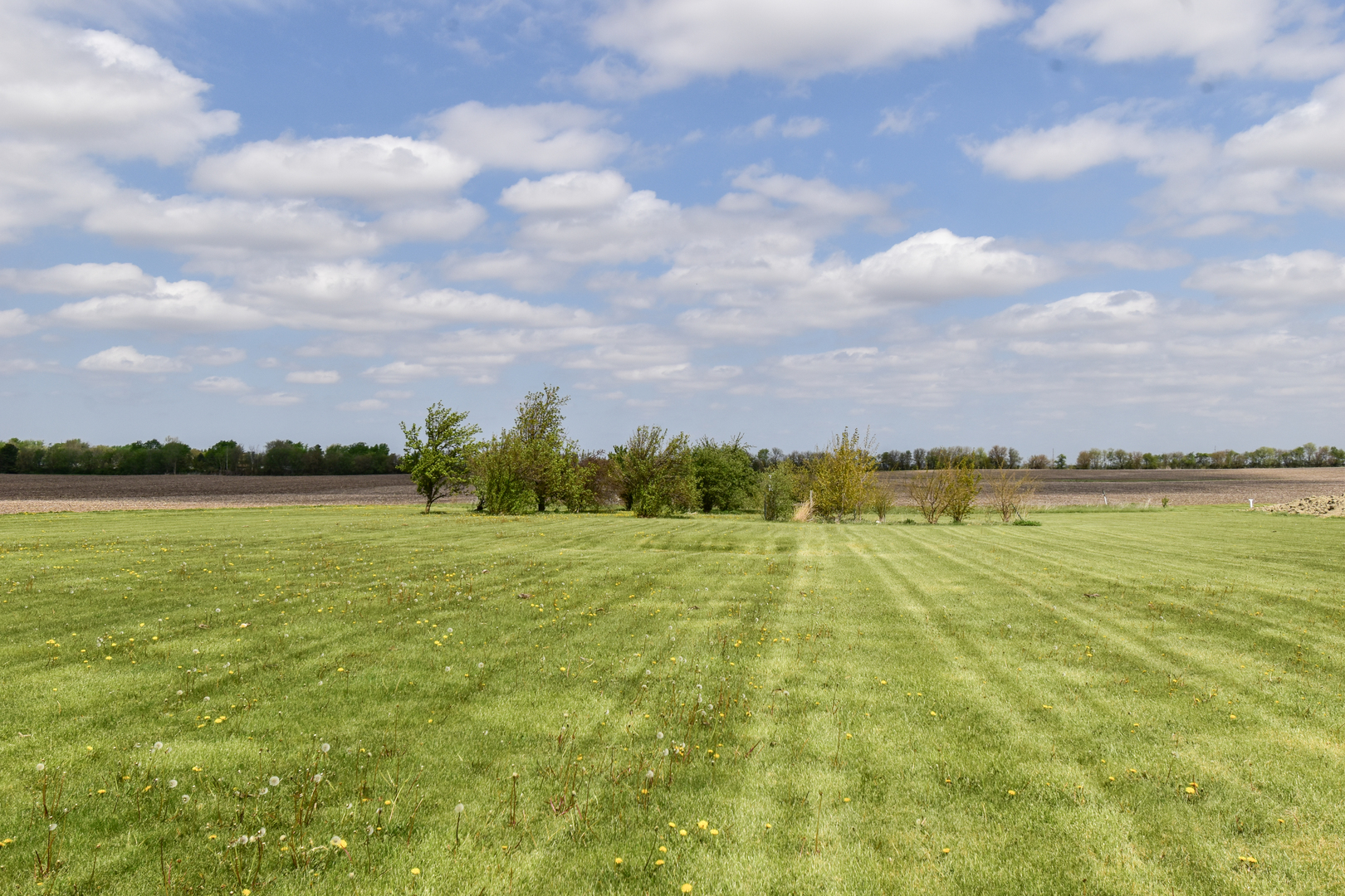 33879 E 800 Road, Chatsworth, IL 60921