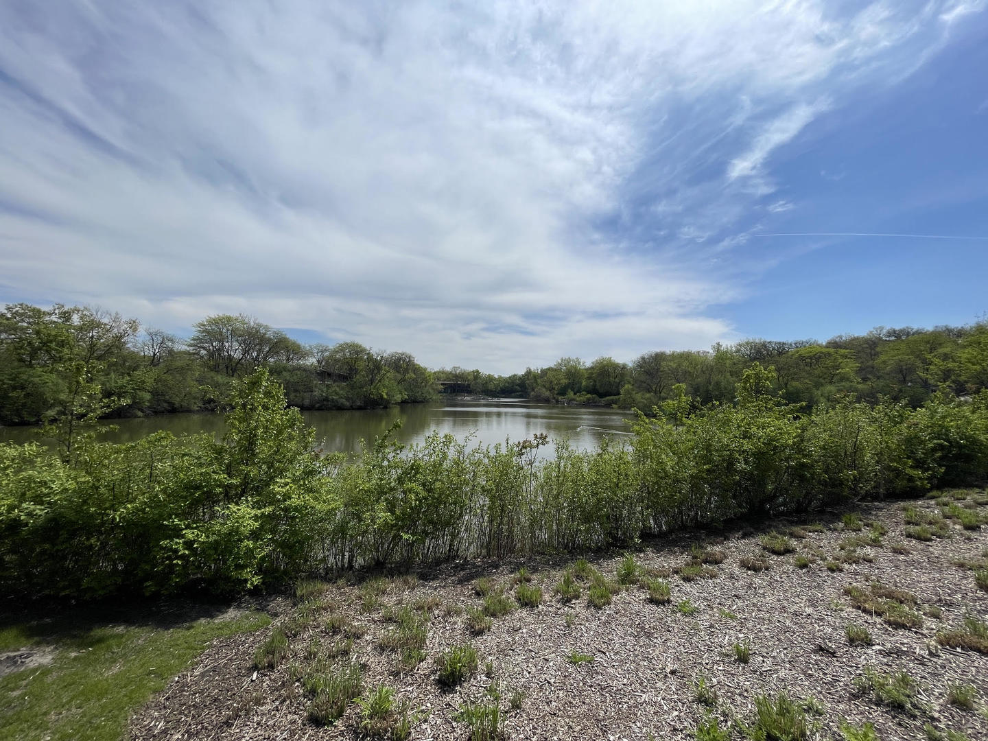 5544 E Lake Drive #A, Lisle, IL 60532