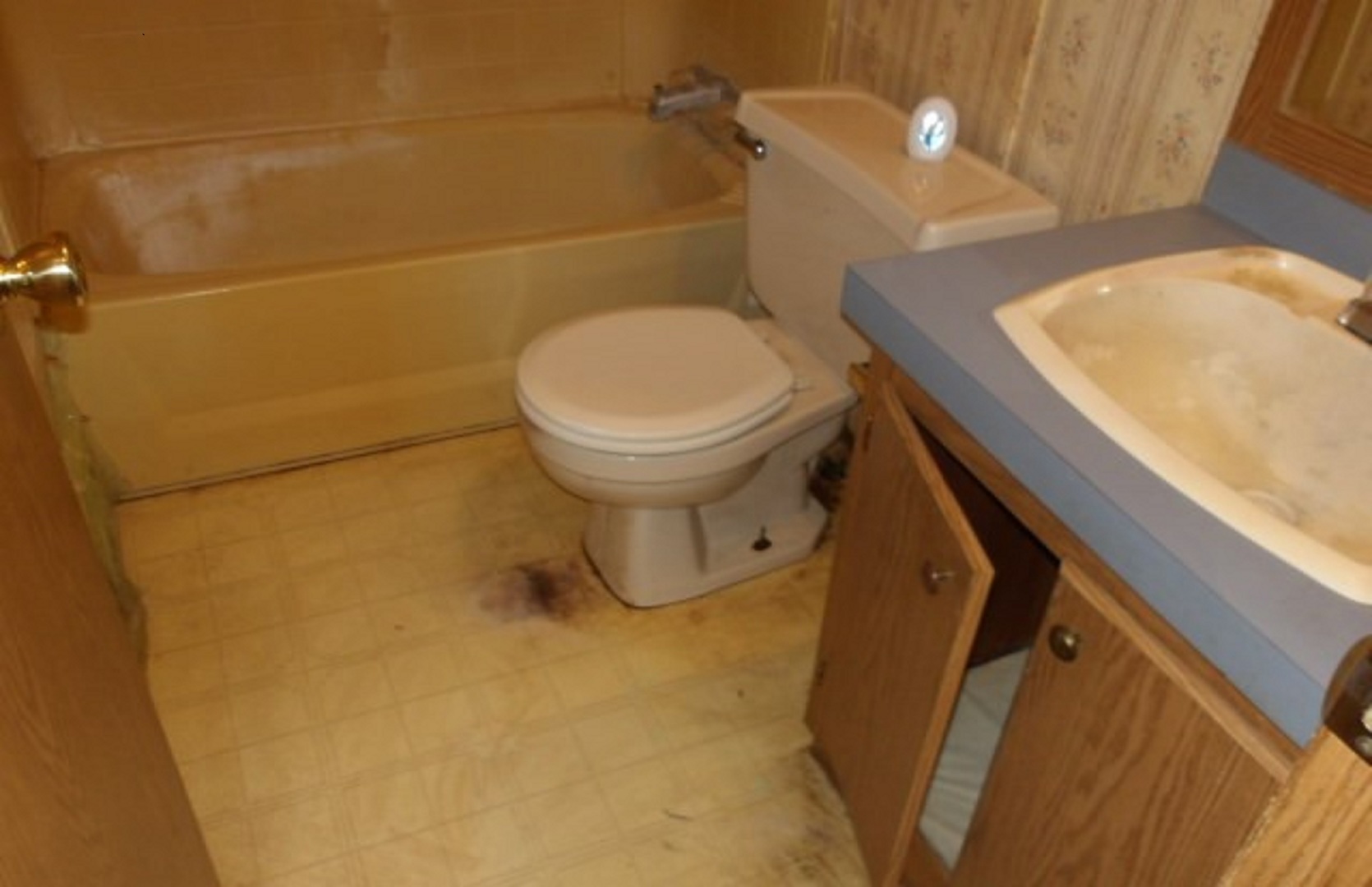 406 E Van Buren Street, Paris, IL 61944