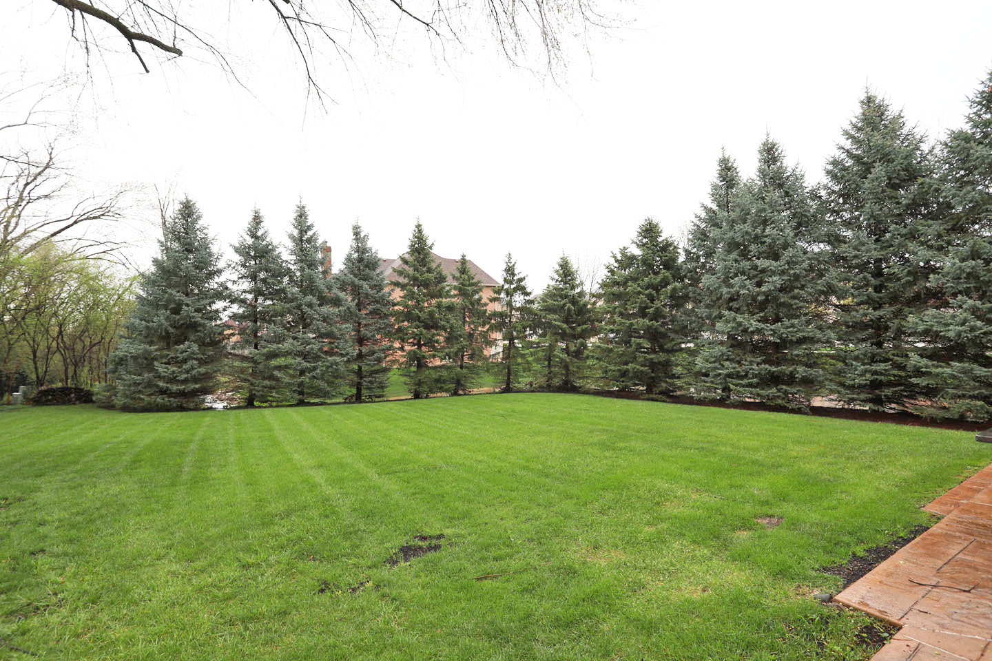 310 Jennifer Lane, Roselle, IL 60172