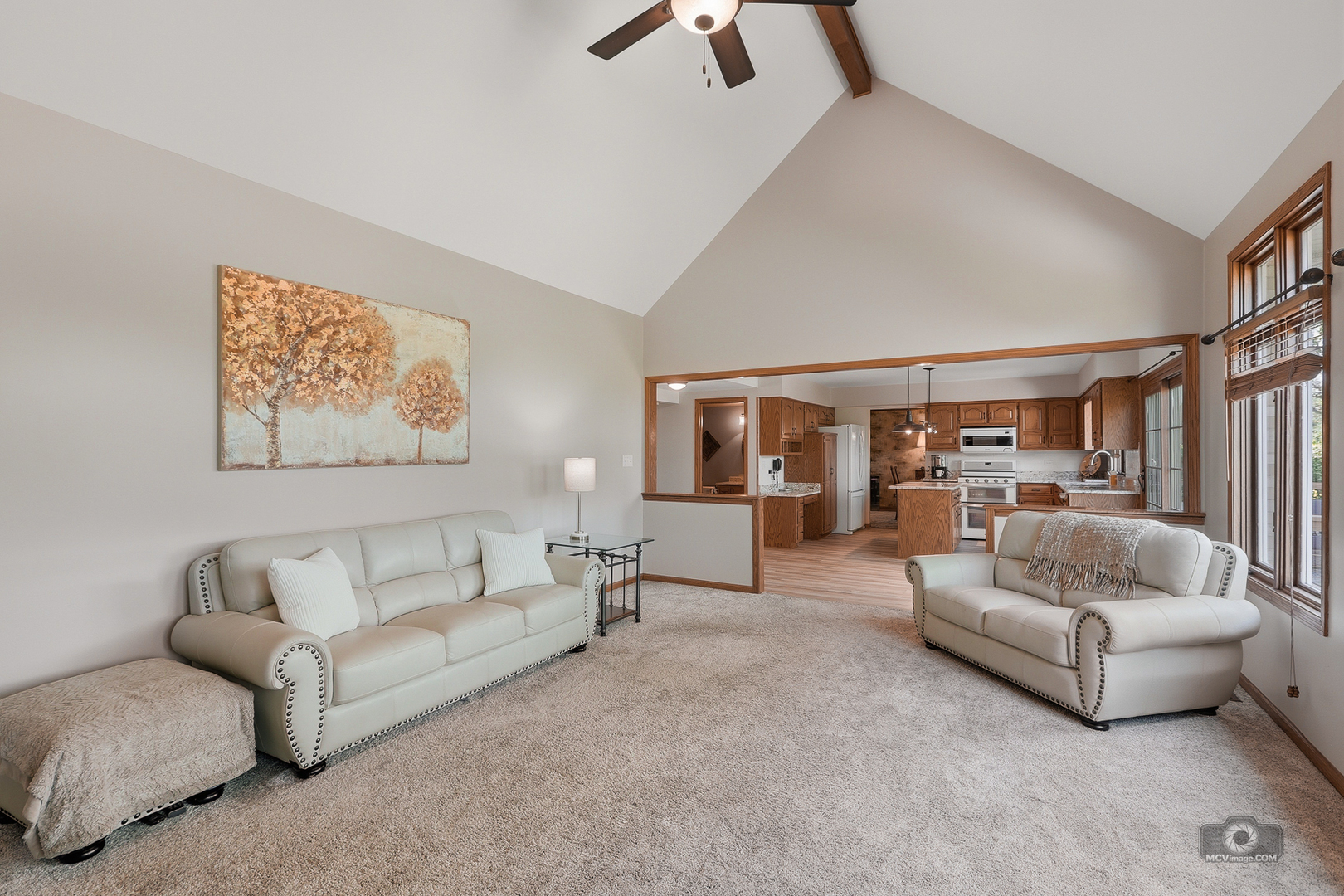 1206 Arbor Drive, Lemont, IL 60439