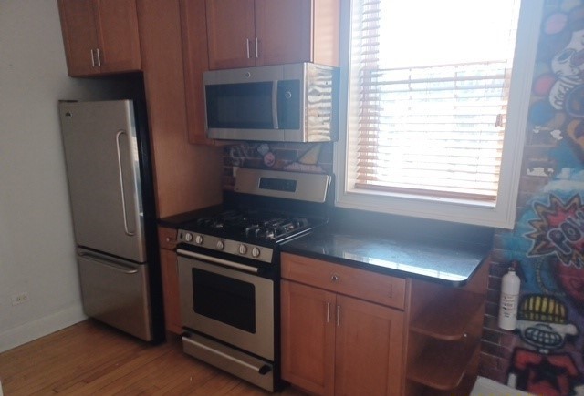 6454 N Bosworth Avenue #2A, Chicago, IL 60626