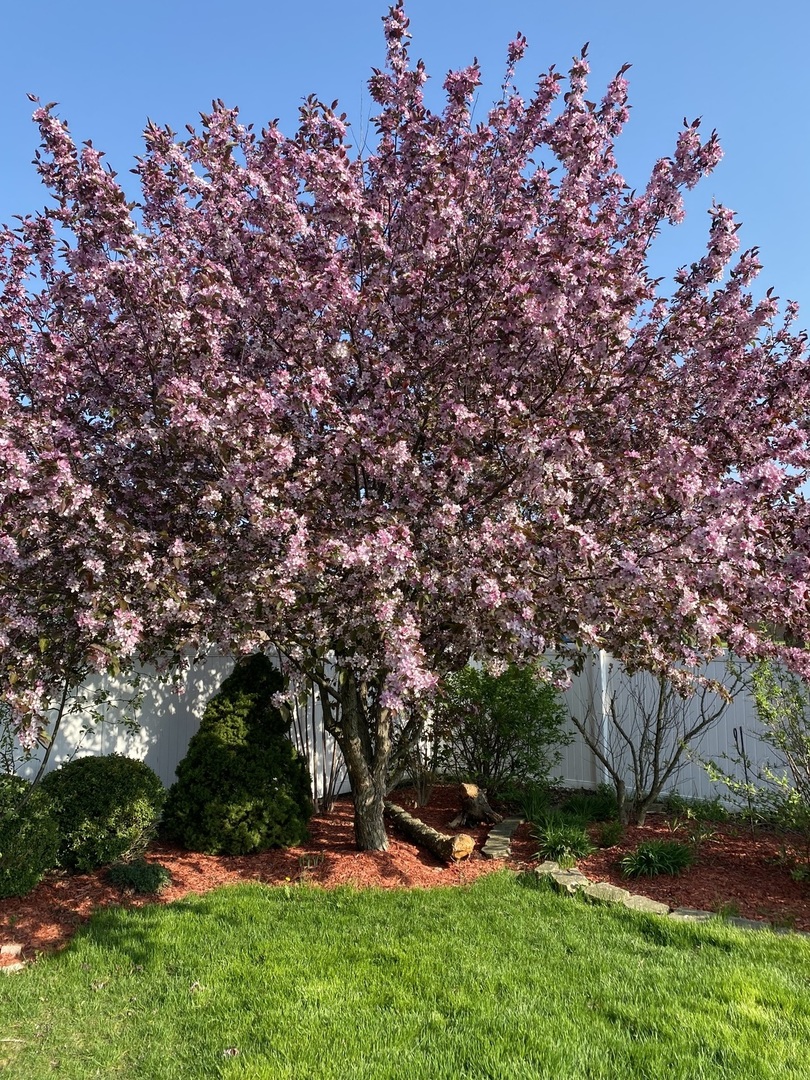 Tinley Park, IL 60487