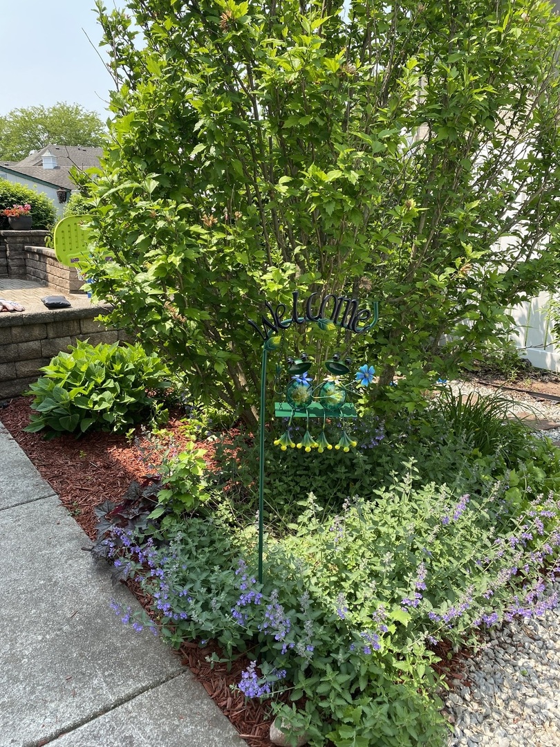 Tinley Park, IL 60487