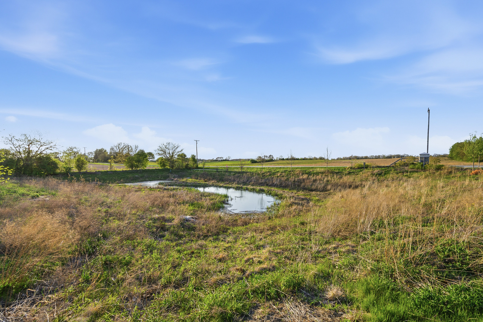 16316 S Wheatgrass Street, Lockport, IL 60441