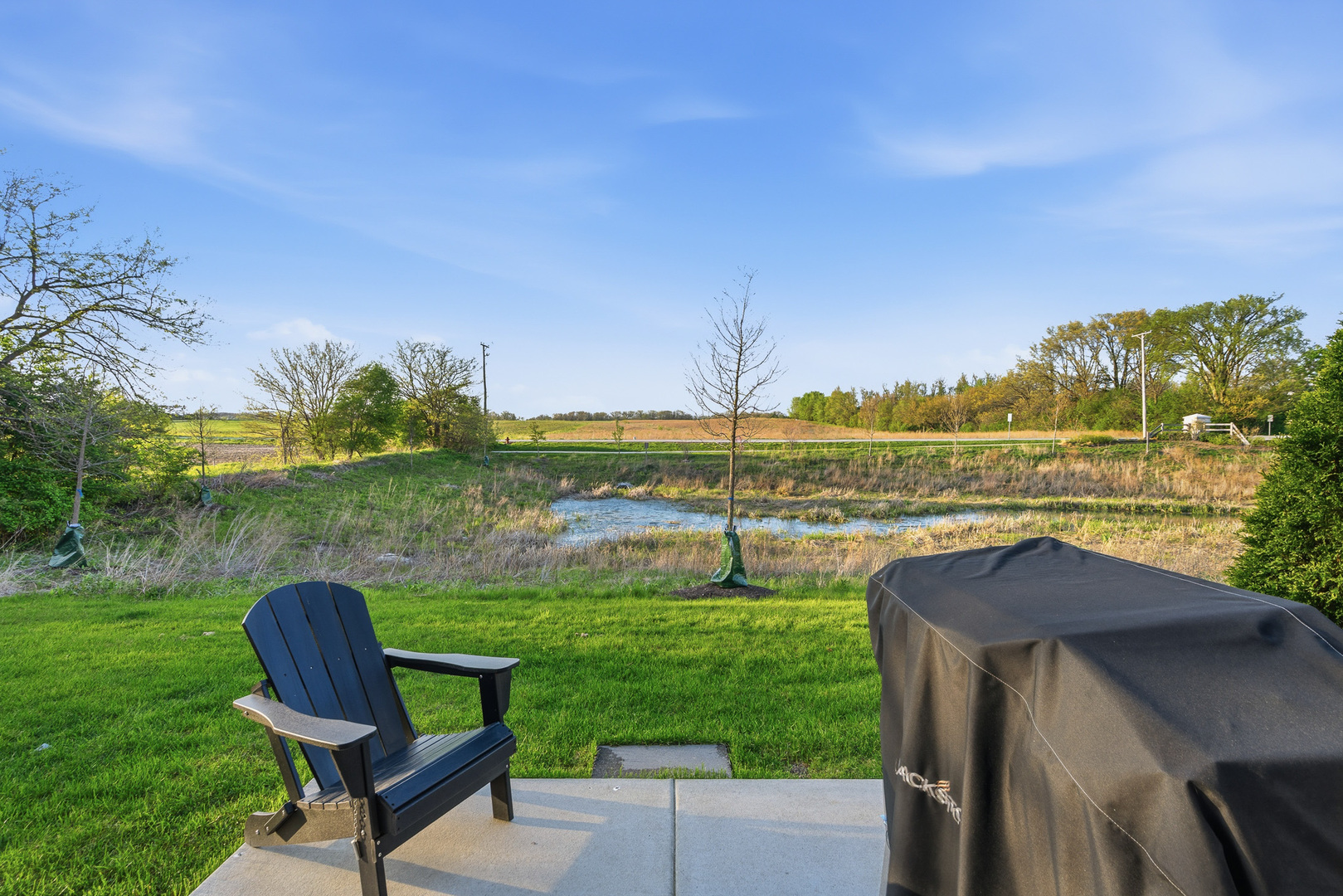 16316 S Wheatgrass Street, Lockport, IL 60441