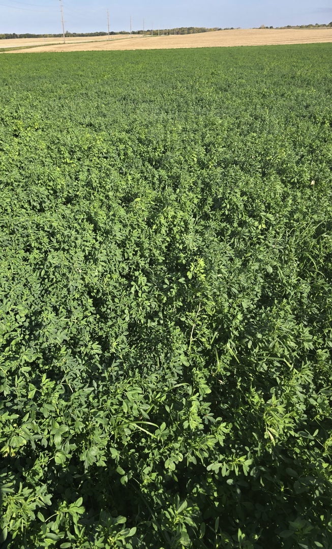 Marseilles, IL 61341