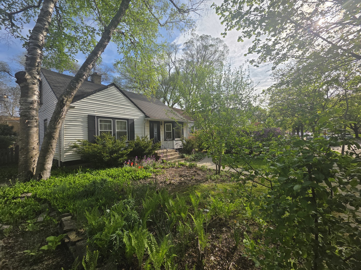 1815 Cleveland Street, Evanston, IL 60202