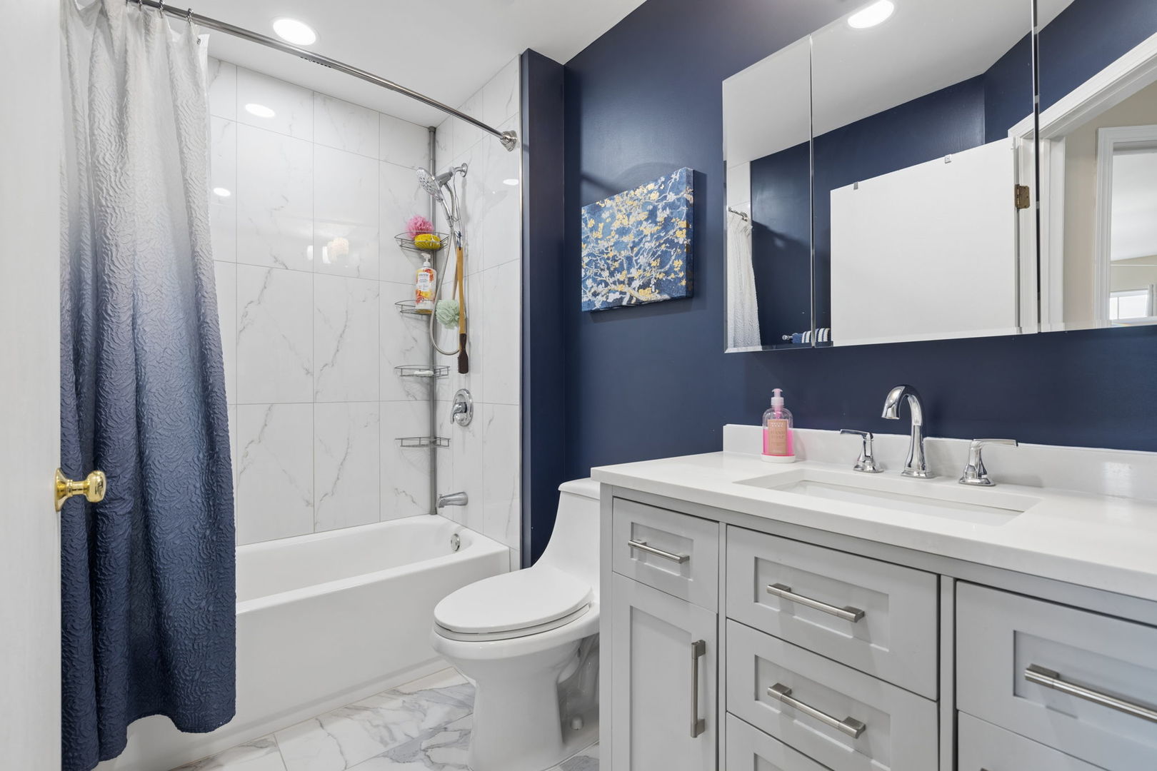 623 Wild Indigo Avenue, Romeoville, IL 60446