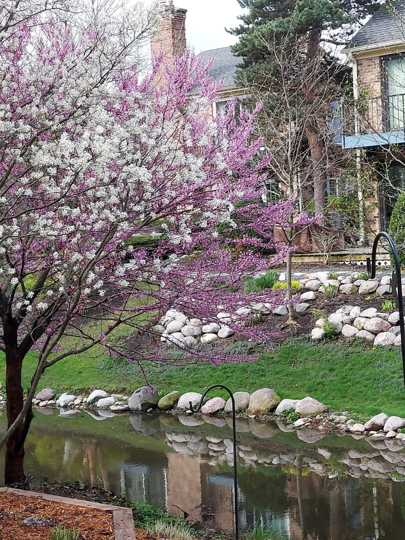 7 The Court Of Island Point, Northbrook, IL 60062