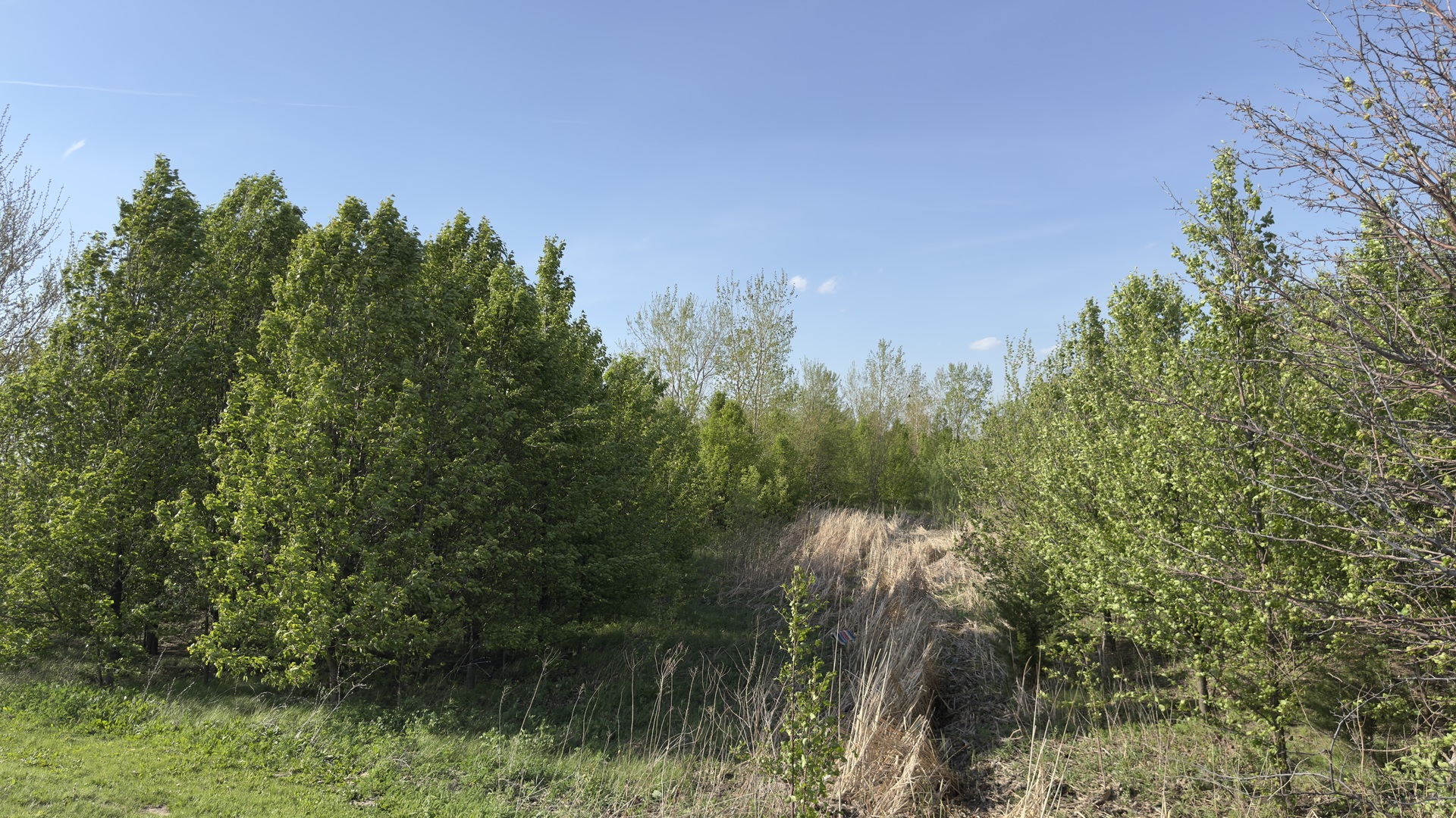 PIN 14-11-477-001 Northtown and Pipeline Roads, Normal, IL 61761