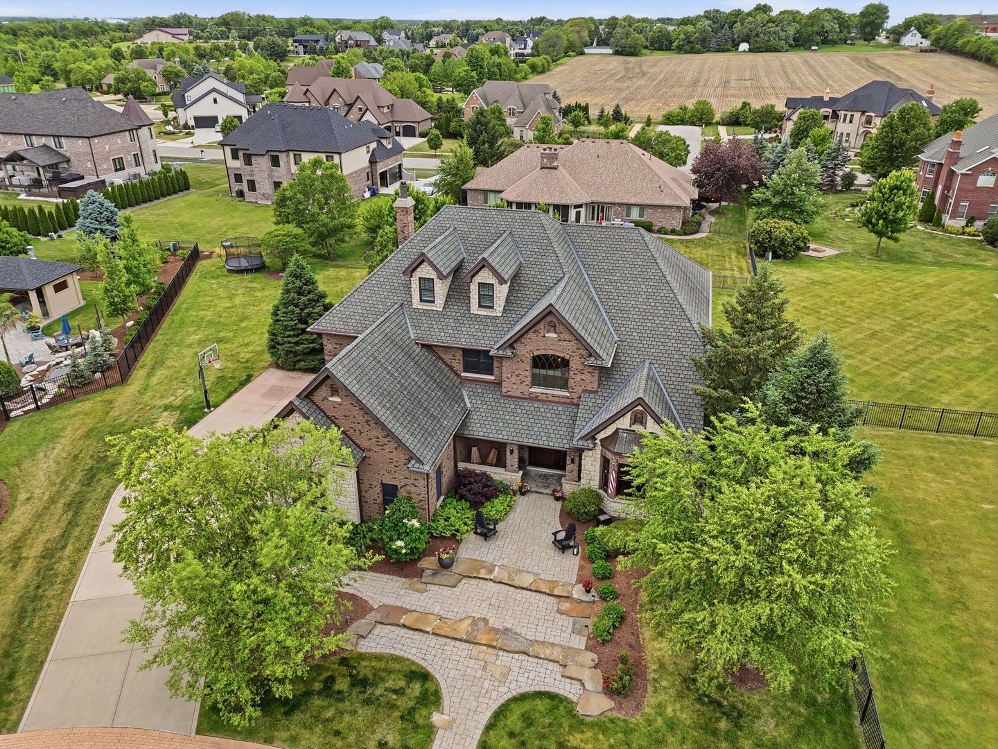 16116 Sandy Banks Court, Homer Glen, IL 60491