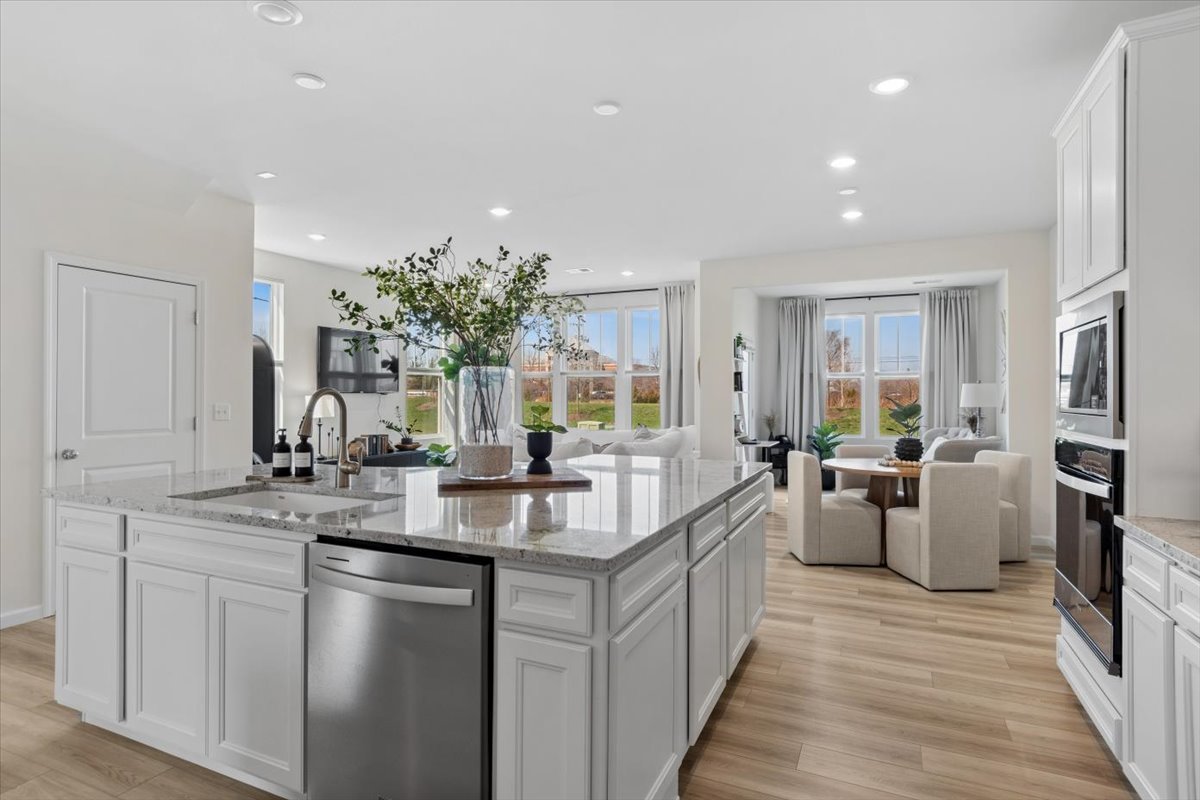 24508 W Alexis Lane, Plainfield, IL 60585