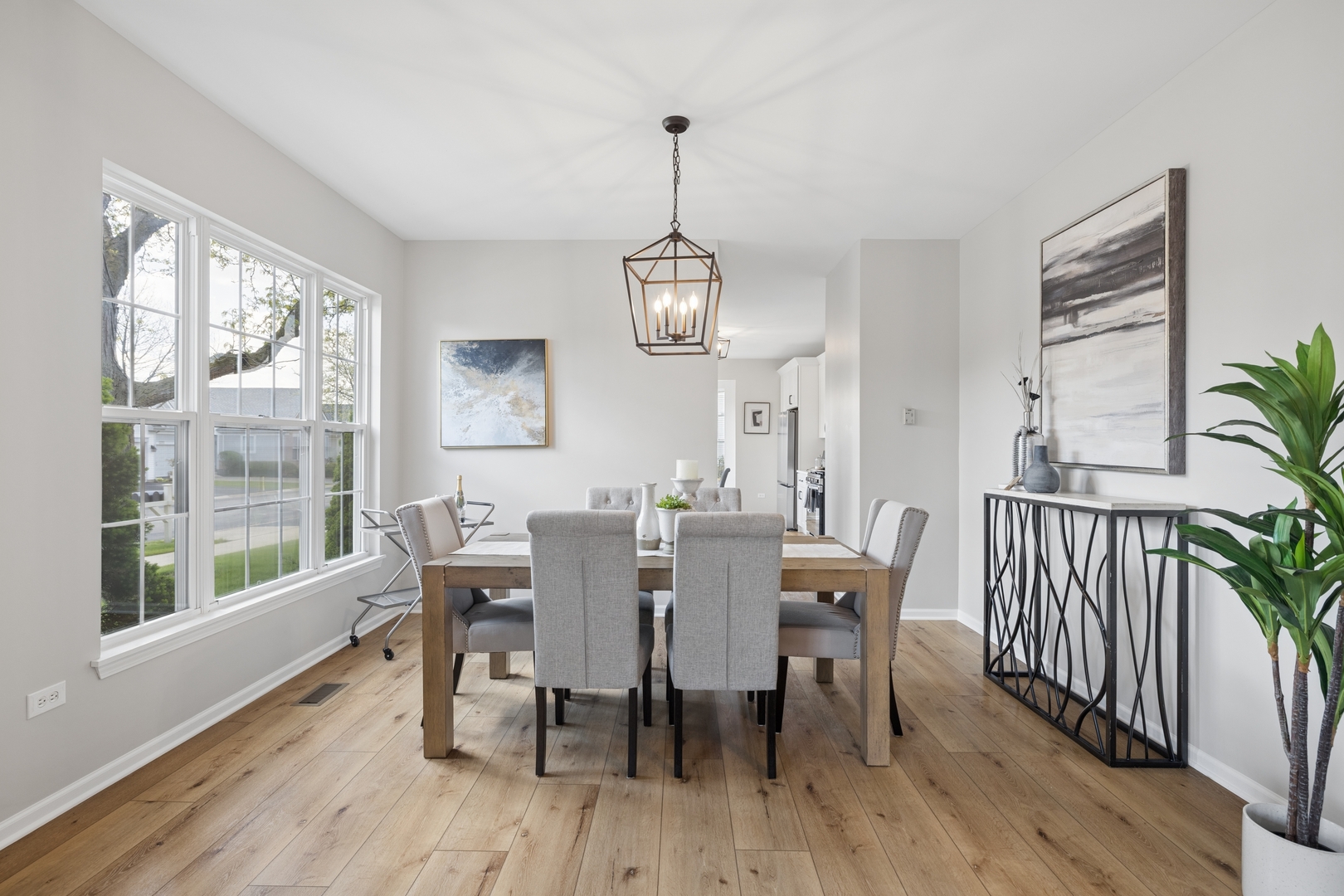 13729 S Redbud Drive, Plainfield, IL 60544