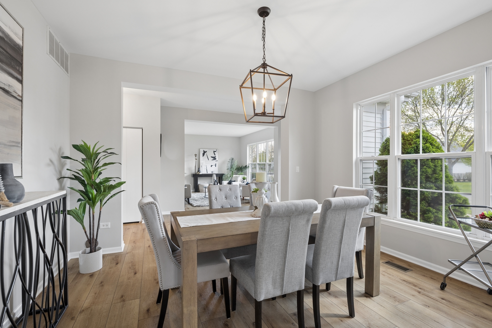 13729 S Redbud Drive, Plainfield, IL 60544