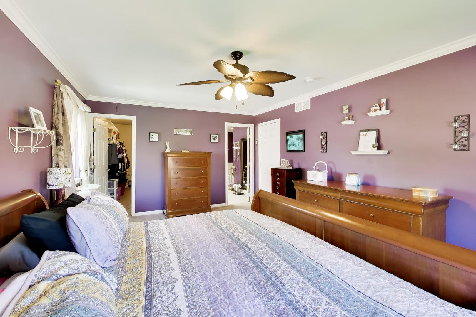 24851 Michele Drive, Plainfield, IL 60544