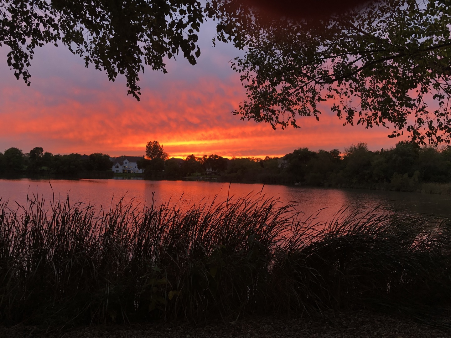 4 Mohawk Drive, South Barrington, IL 60010