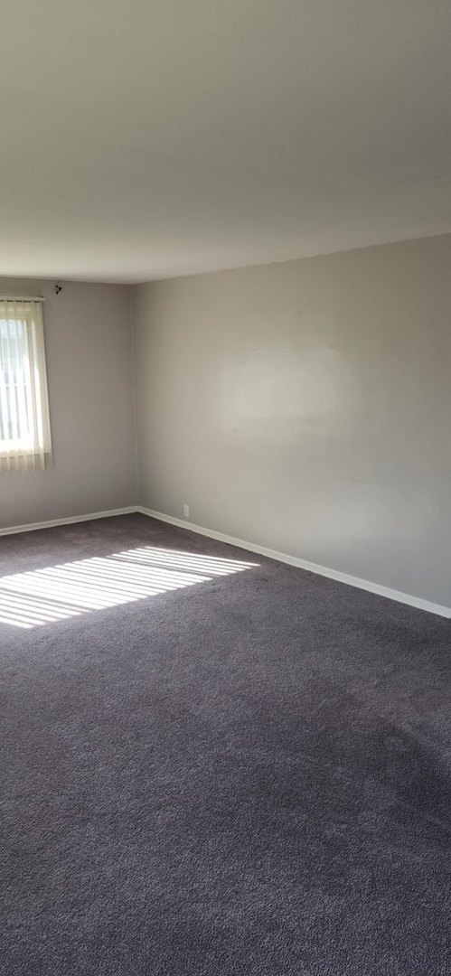 Park Forest, IL 60466