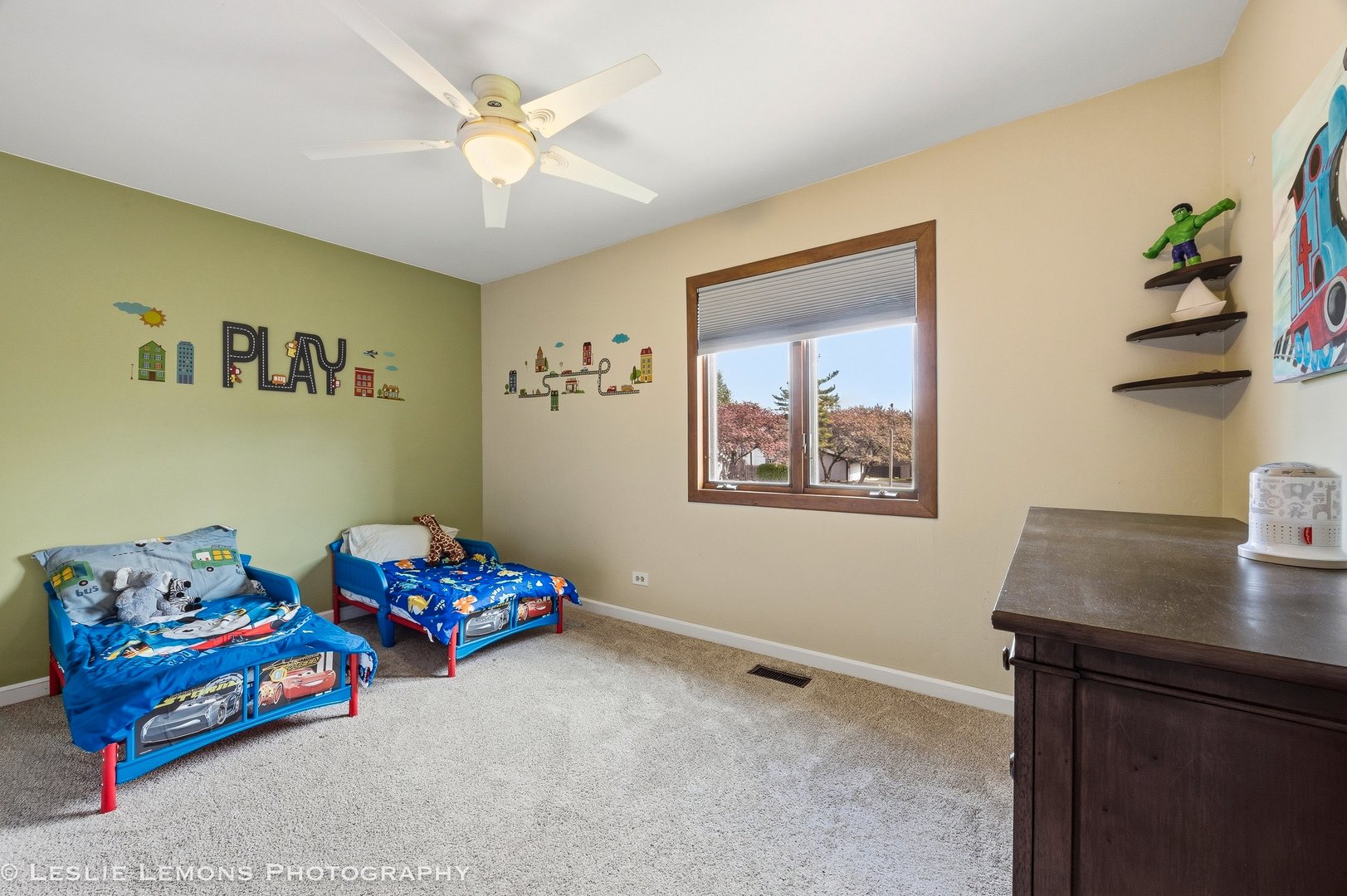 497 Sequoia Trail, Roselle, IL 60172