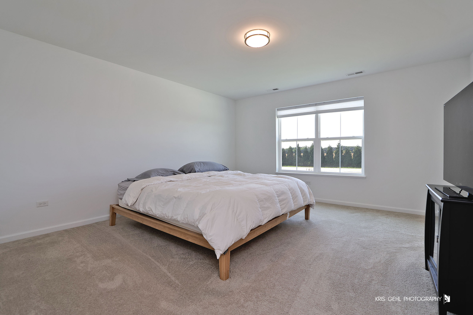 2490 Olivia Court, Wauconda, IL 60084