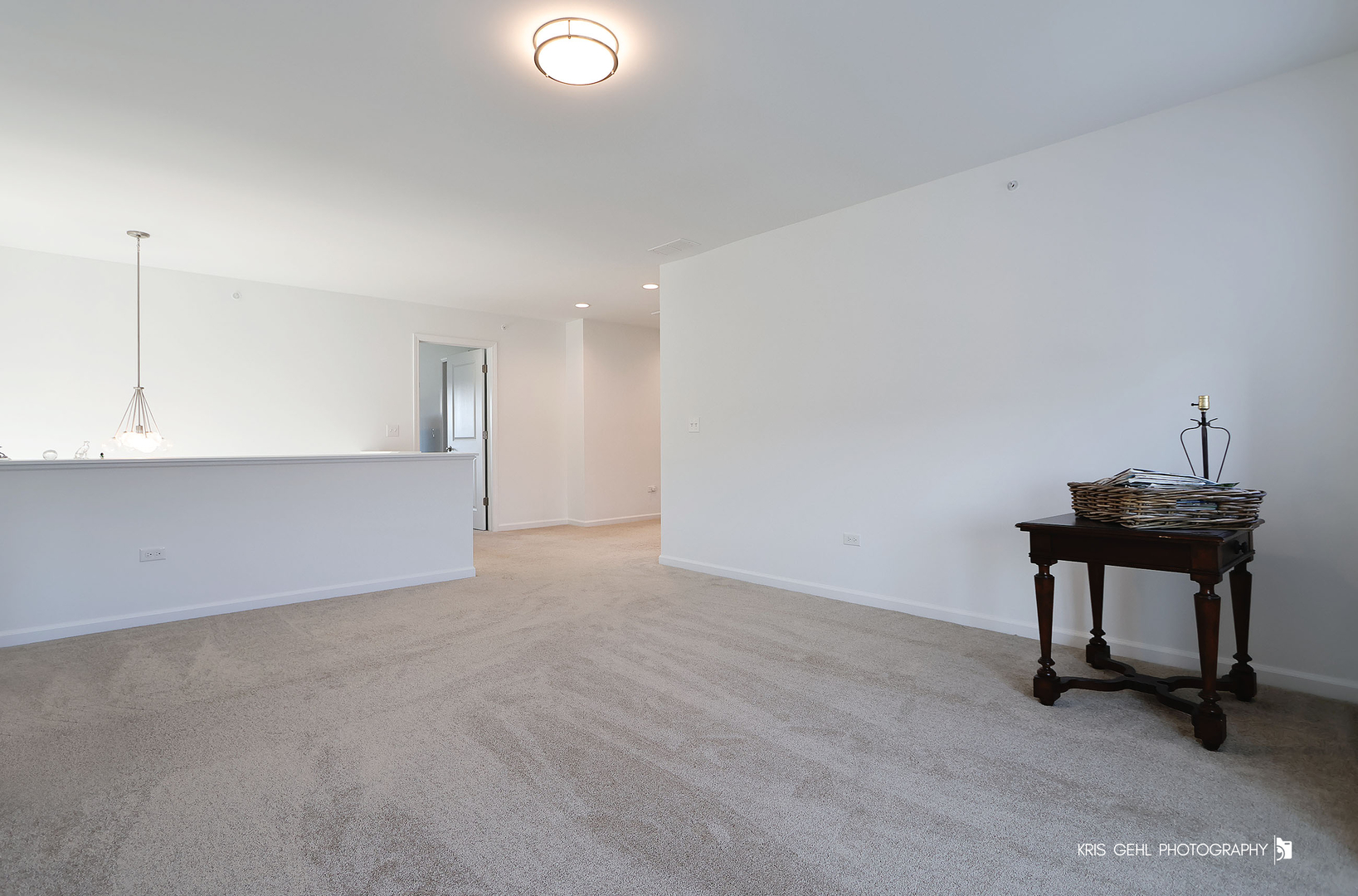 2490 Olivia Court, Wauconda, IL 60084