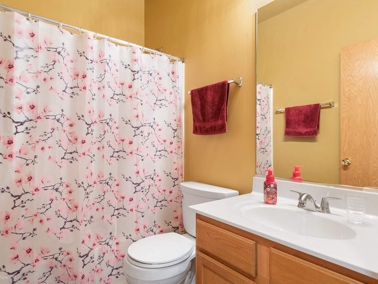 1307 Broadlawn Drive, Plainfield, IL 60586