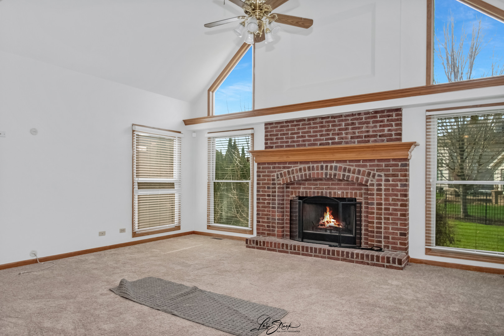 24963 Heritage Oaks Drive, Plainfield, IL 60585