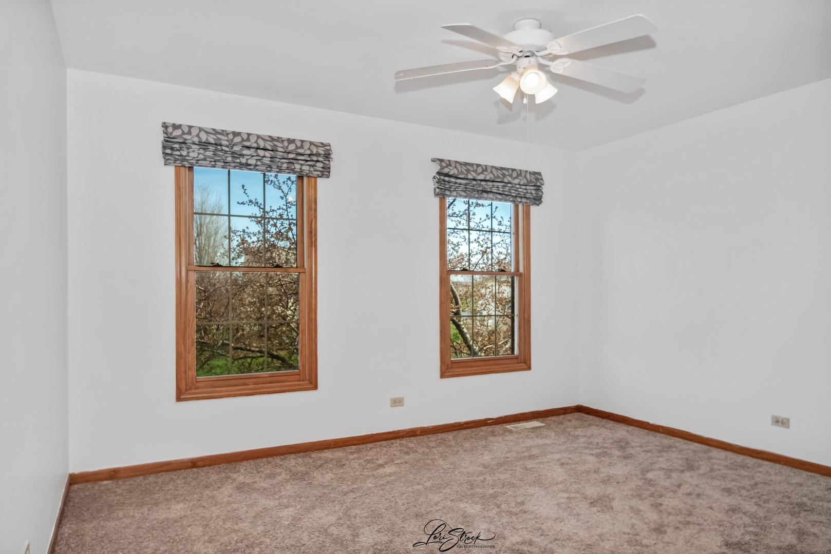 24963 Heritage Oaks Drive, Plainfield, IL 60585
