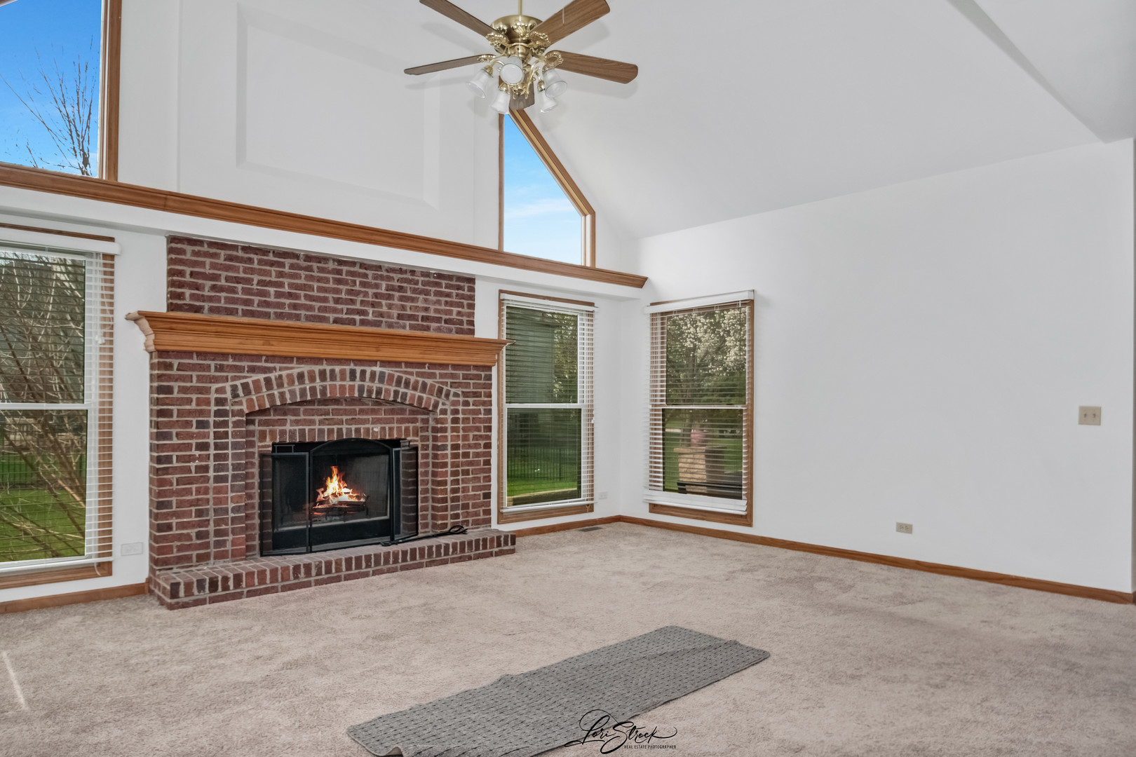 24963 Heritage Oaks Drive, Plainfield, IL 60585