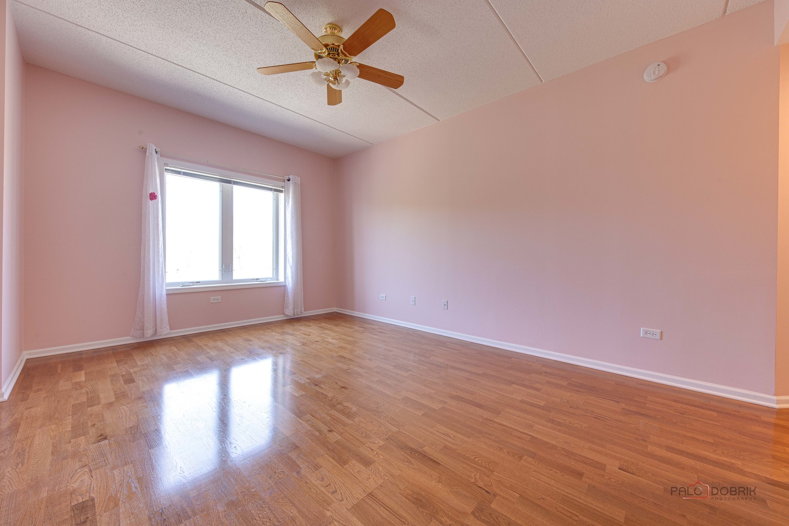 Des Plaines, IL 60016