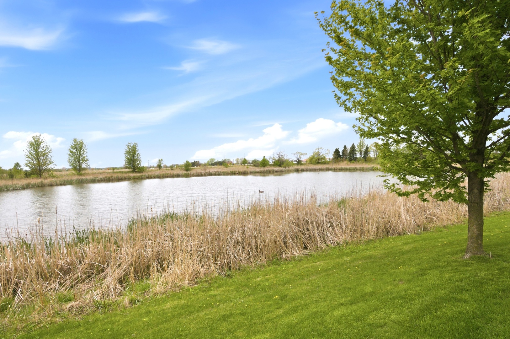 15749 W CROBALLY Way, Manhattan, IL 60442