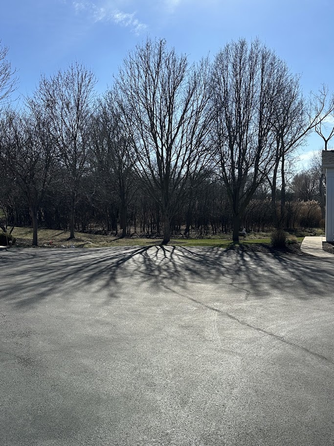 1405 Hidden Grove Circle #1405, Joliet, IL 60435