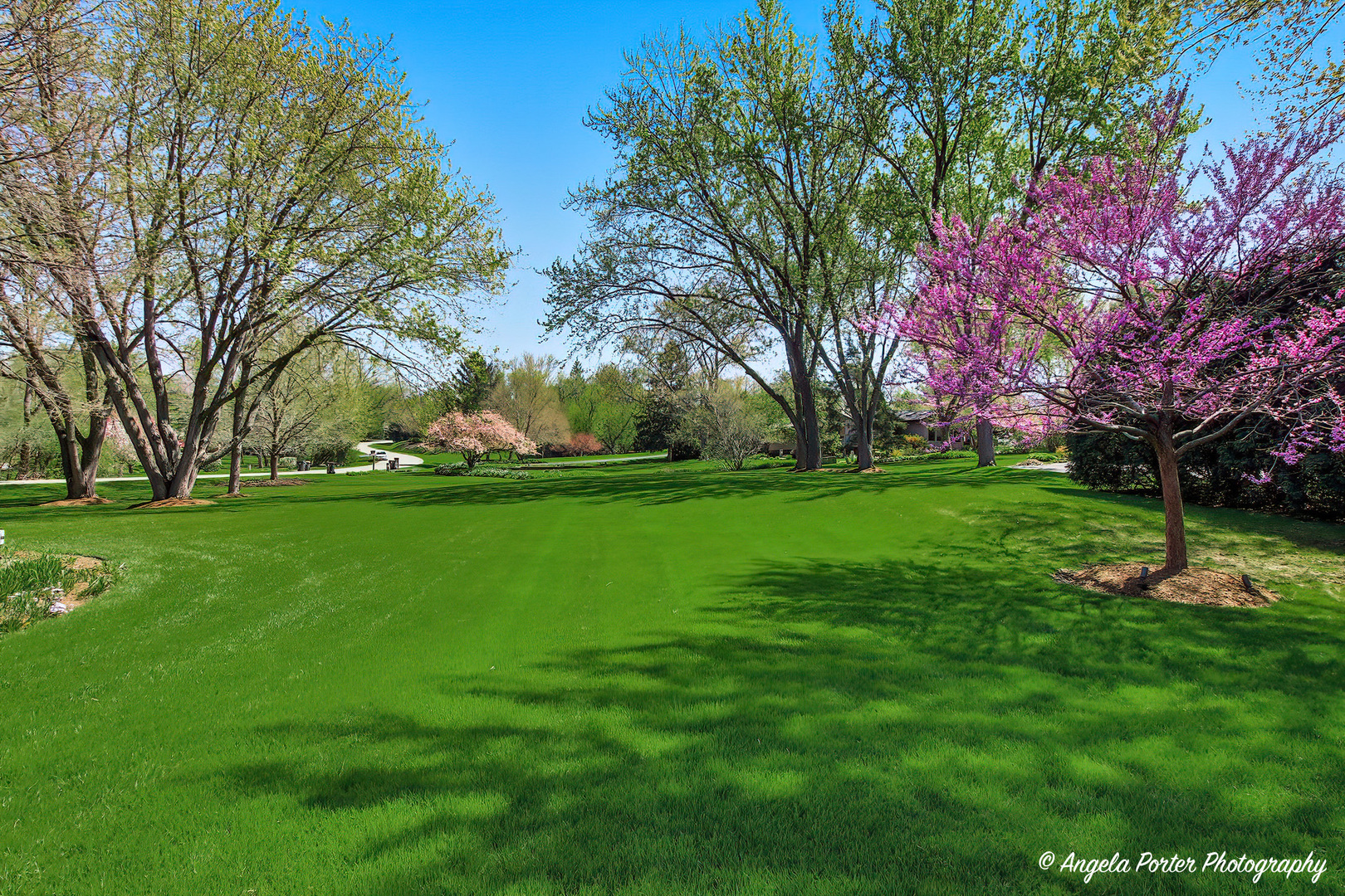 40498 N Sunset Drive, Antioch, IL 60002