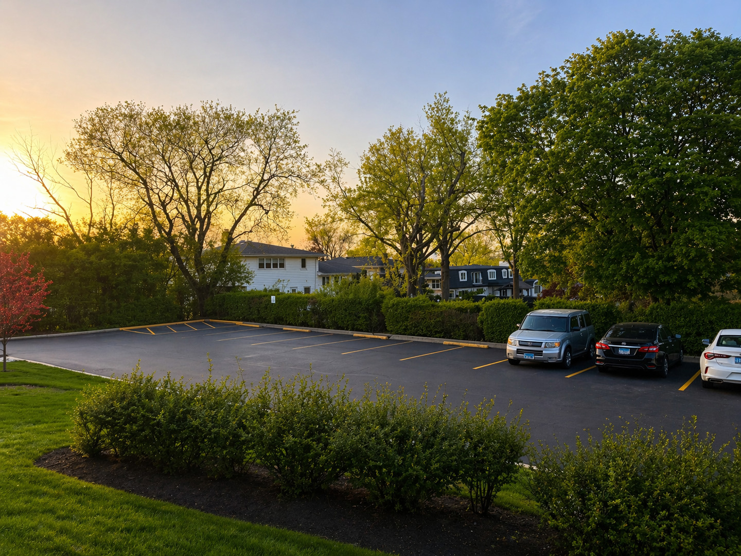 3913 Saratoga Avenue #117, Downers Grove, IL 60515