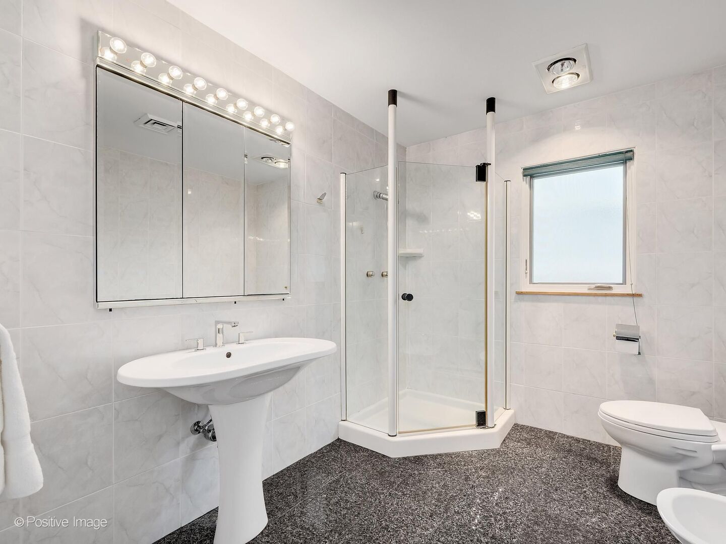 727 S Spring Avenue, La Grange, IL 60525