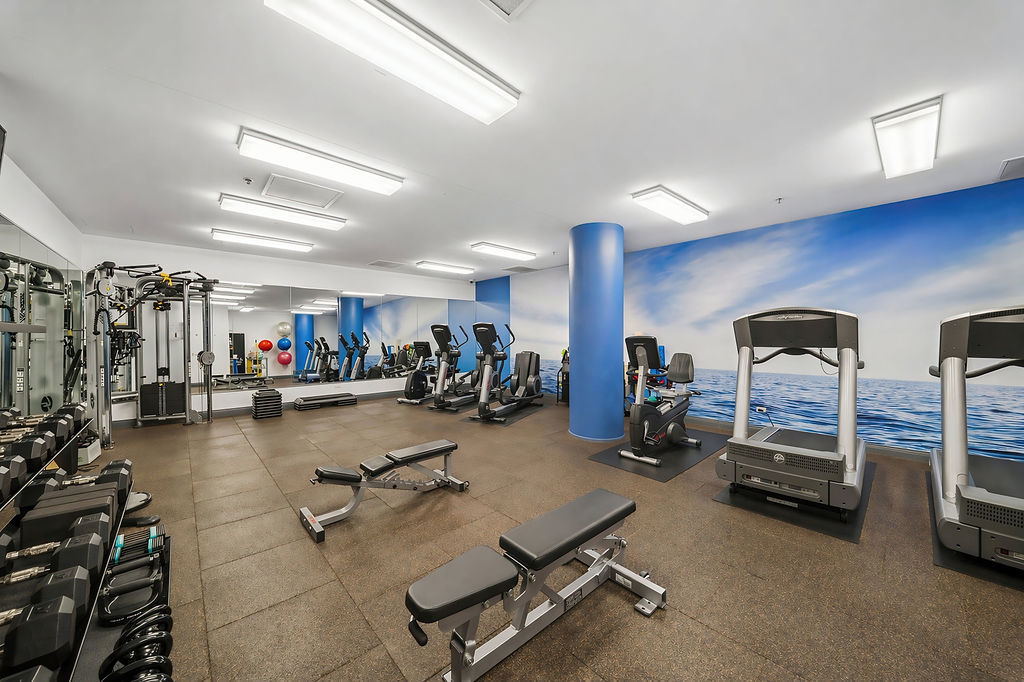 270 E Pearson Street #101, Chicago, IL 60611