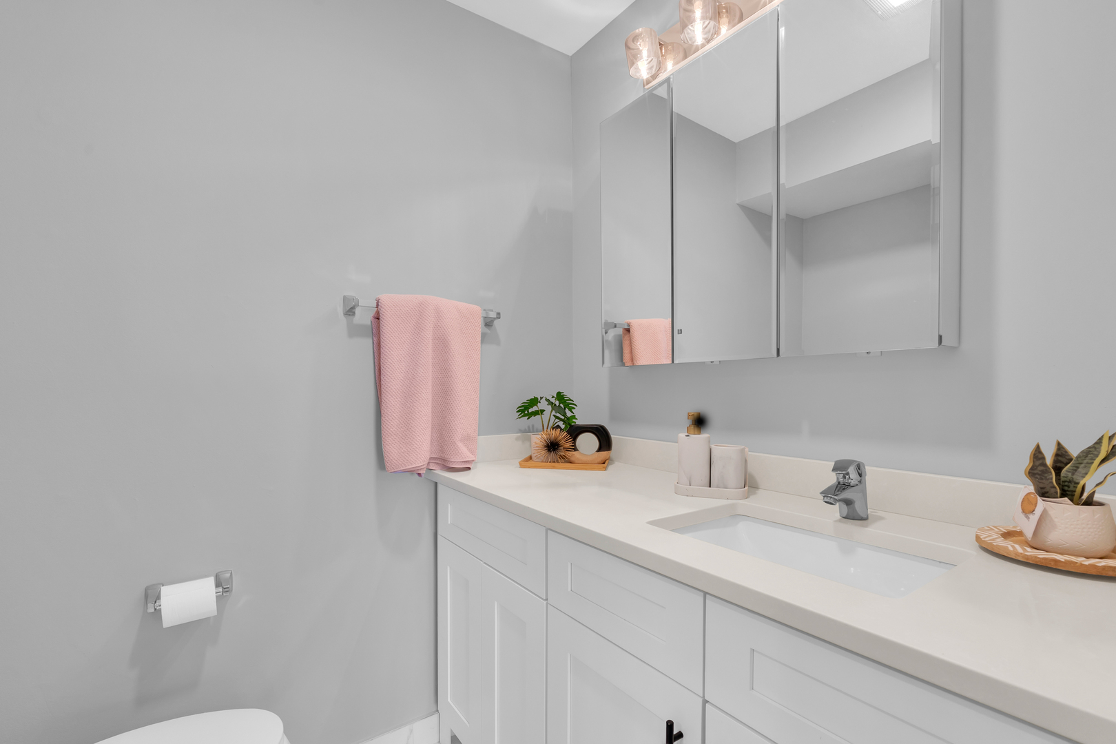 1375 REBECCA Drive #323, Hoffman Estates, IL 60169