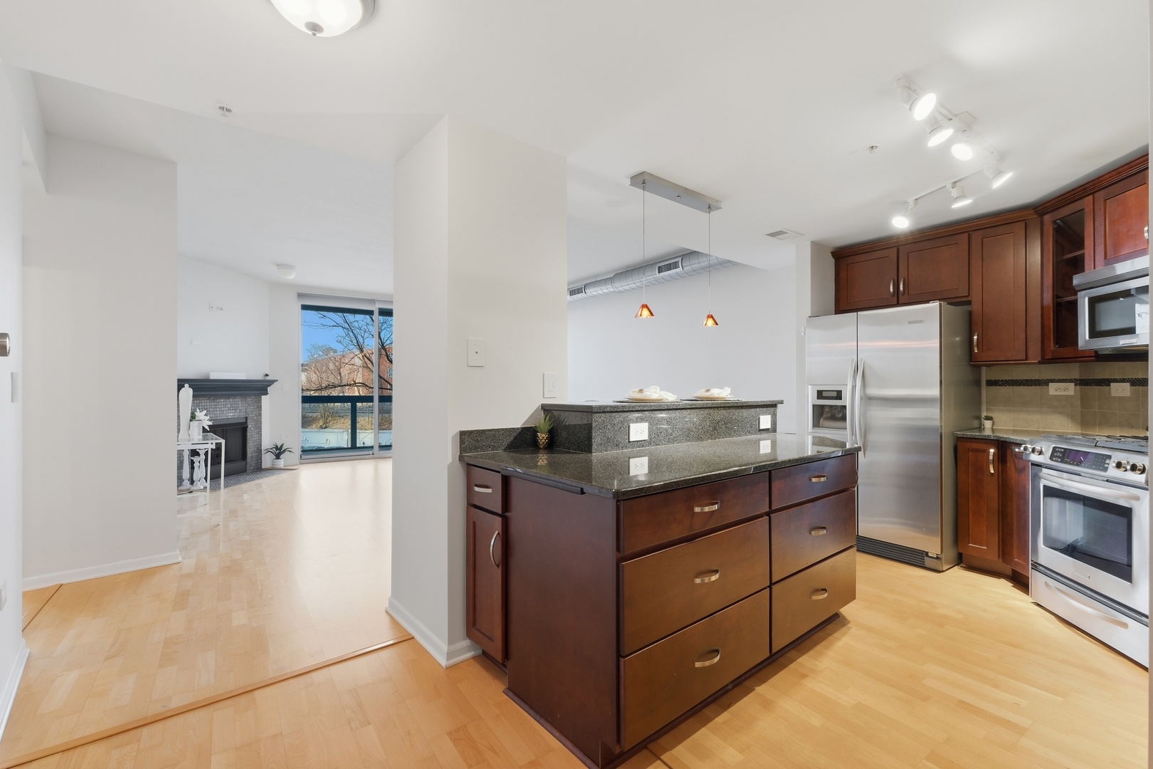 1228 EMERSON Street #304, Evanston, IL 60201
