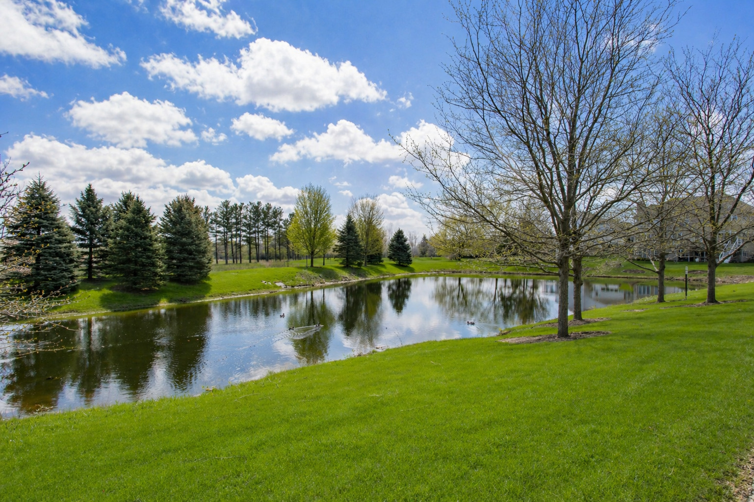 3 BLACKWOLF Court, Algonquin, IL 60102