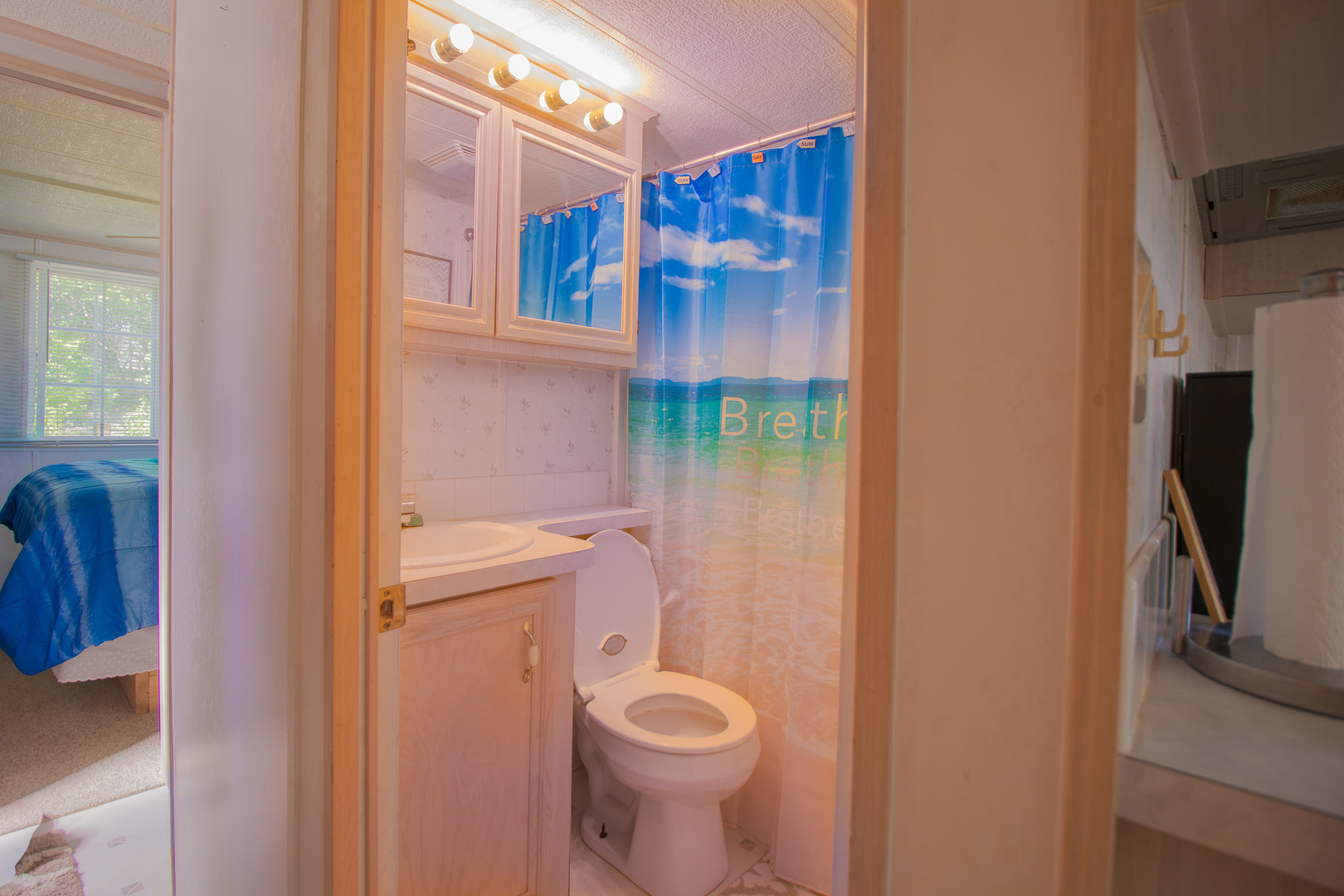 260 Fossil Bay Court, Wilmington, IL 60481