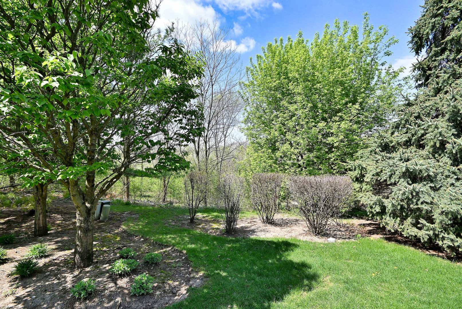 967 Oak Ridge Boulevard, Elgin, IL 60120