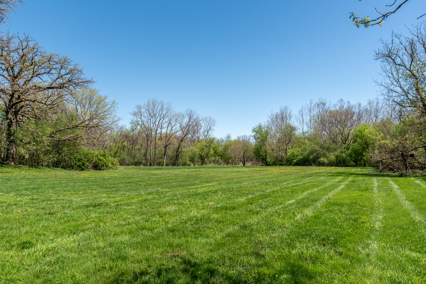 21101 N Middleton Drive, Kildeer, IL 60047